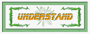 Start profiting from our SEO services affordably by joining us today with easy to understand options.