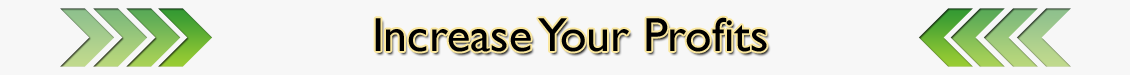 Create more profit and cash flow with company growth to get your business going.