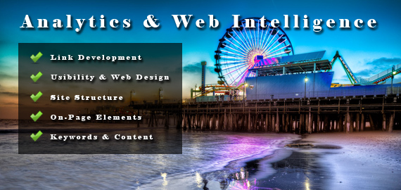 Web Analytics for More Intellegent Business.
